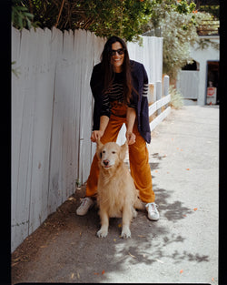 Get a Dog. It’s Good for You.