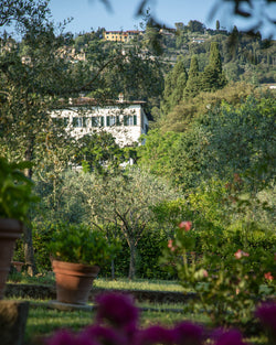 A Fleeting Breeze in Fiesole