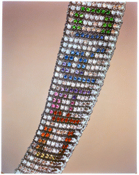 Carolina Bucci Color Field bracelet