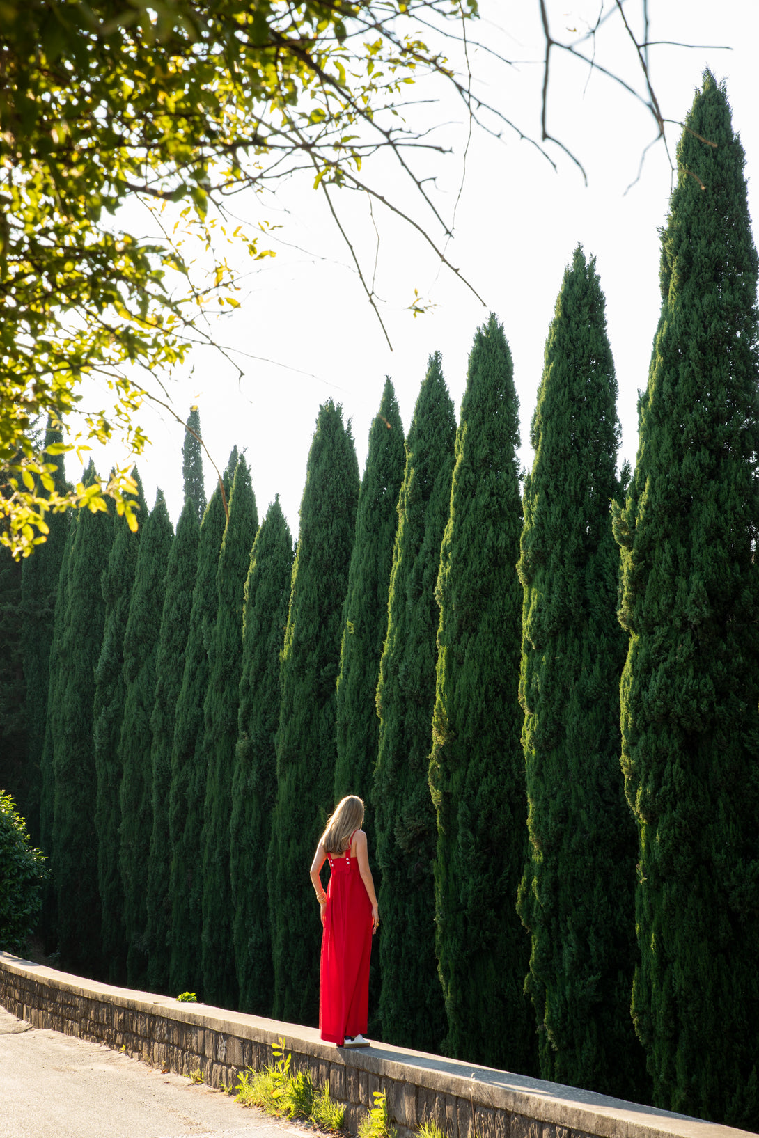 Carolina standing by cypress trees in the hills above Florence.