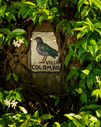 Villa Colombo hidden sign in Greenery