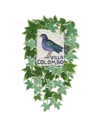 Villa colombo logo